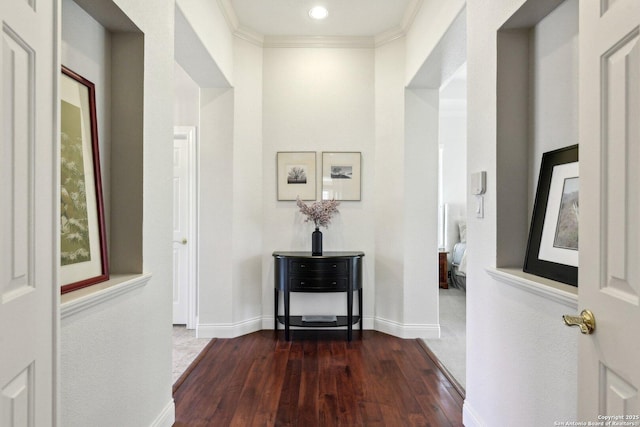 corridor with crown molding and dark hardwood / wood-style floors