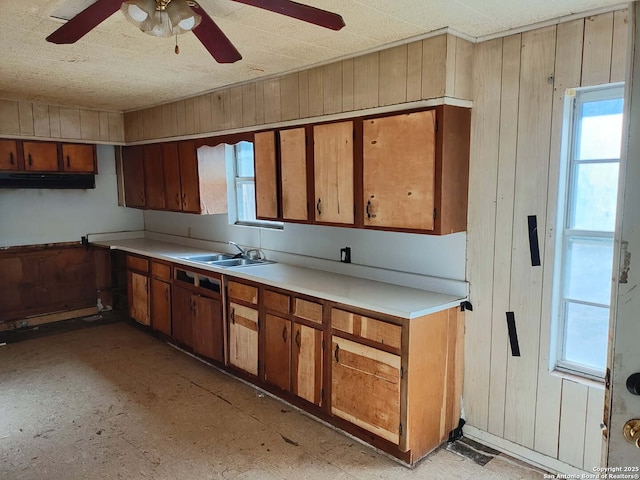 kitchen with ceiling fan, sink, and wood walls