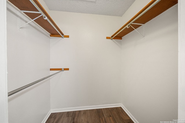 spacious closet featuring hardwood / wood-style floors