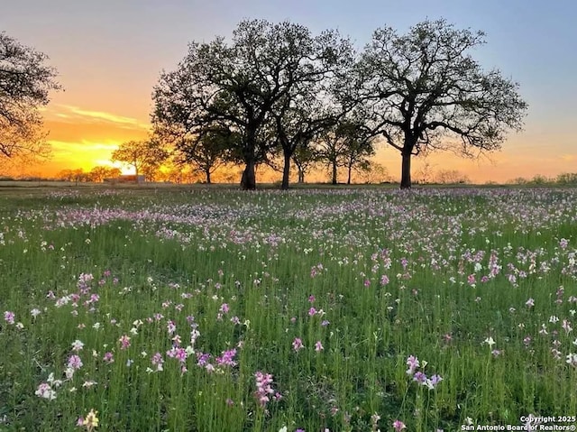 460 Woelke Rd, Seguin TX, 78155 land for sale