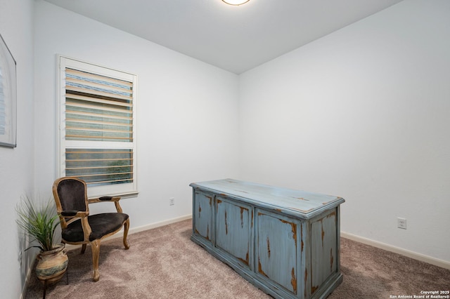 living area featuring light colored carpet