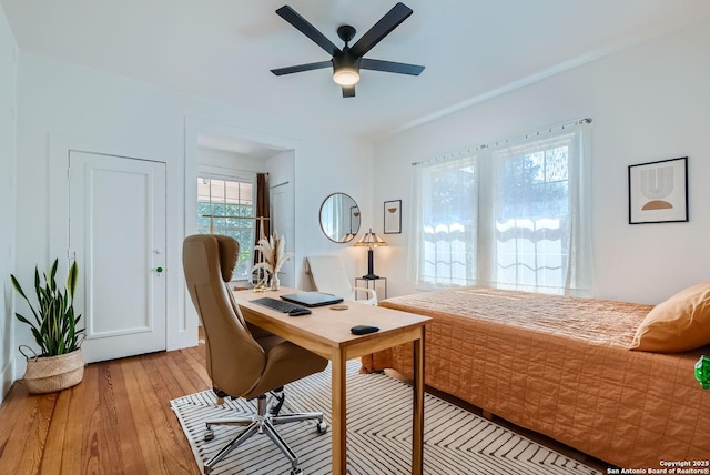 bedroom featuring light hardwood / wood-style floors