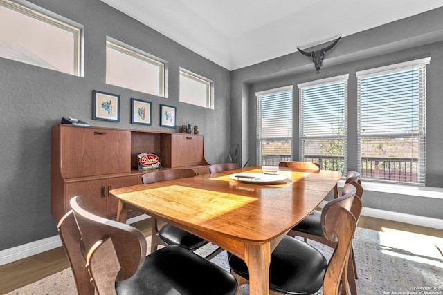 dining space with hardwood / wood-style flooring