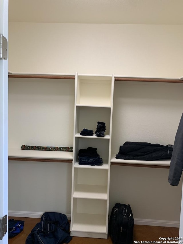 view of spacious closet