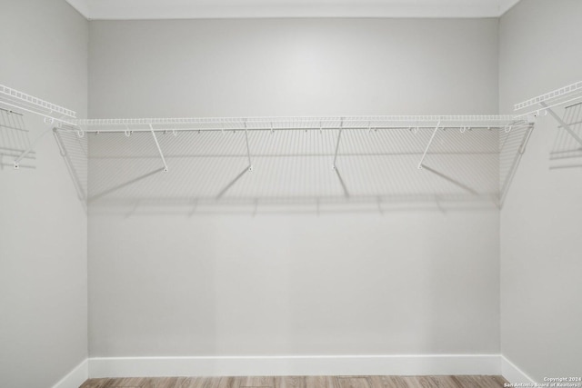 spacious closet featuring wood-type flooring