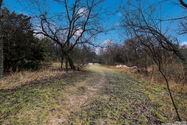 view of yard with a view of trees