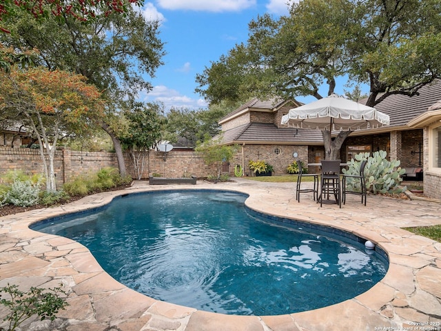 view of swimming pool with a patio area