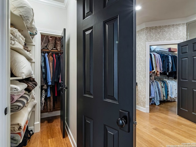 walk in closet featuring light hardwood / wood-style floors