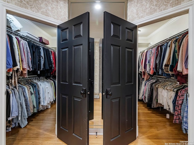 walk in closet featuring hardwood / wood-style flooring