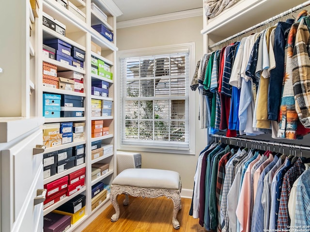 spacious closet with hardwood / wood-style flooring