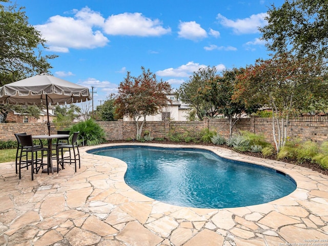 view of swimming pool featuring a patio