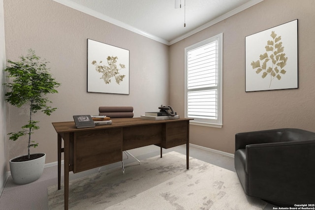 carpeted office space featuring crown molding