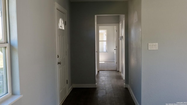 hallway with dark hardwood / wood-style floors and a wealth of natural light