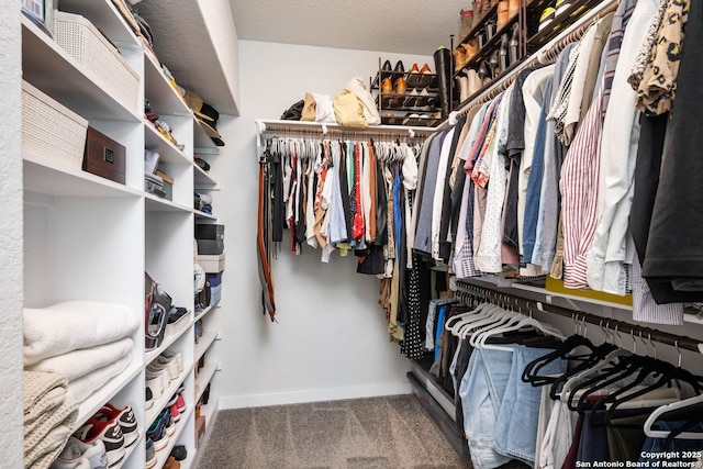 spacious closet with carpet