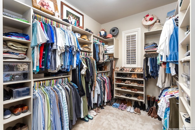 walk in closet with carpet flooring