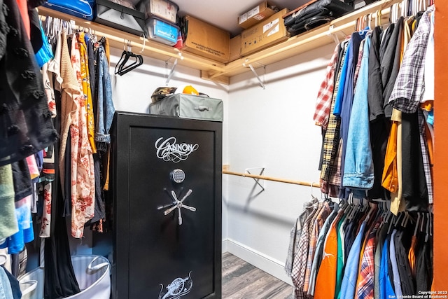 spacious closet with hardwood / wood-style floors