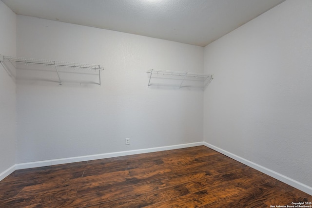 spacious closet featuring dark wood-type flooring