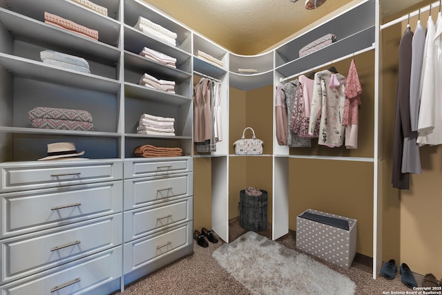 walk in closet featuring carpet floors