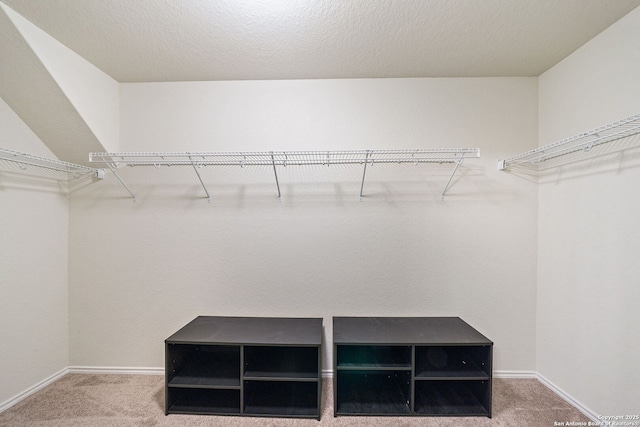 spacious closet with carpet flooring