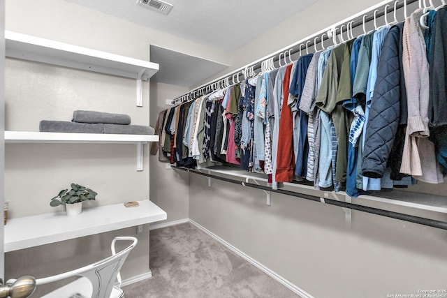 spacious closet featuring carpet