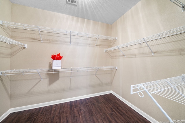 walk in closet with hardwood / wood-style floors