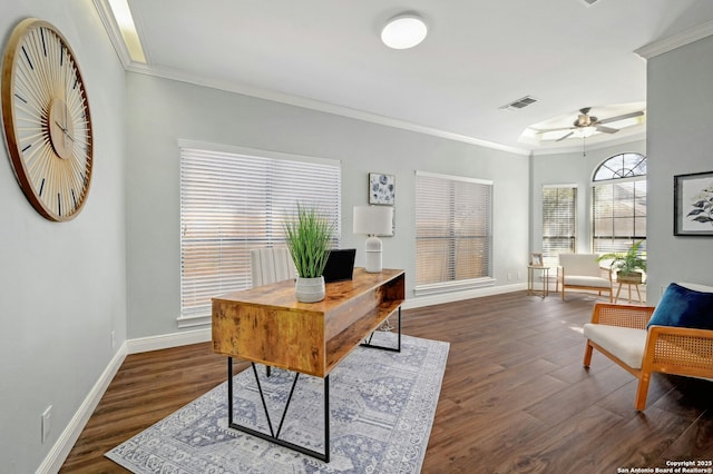 office featuring dark hardwood / wood-style flooring, ornamental molding, and ceiling fan