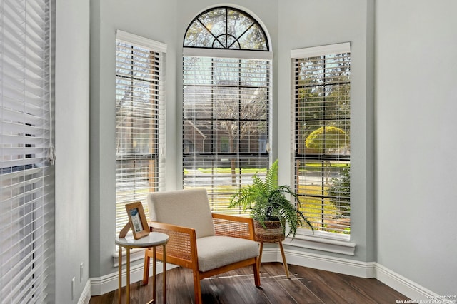 sitting room with dark wood-type flooring