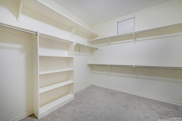 spacious closet featuring light carpet