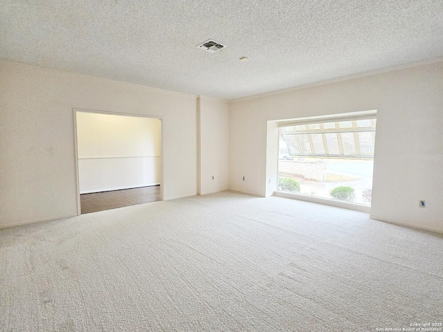 unfurnished room with carpet flooring and a textured ceiling