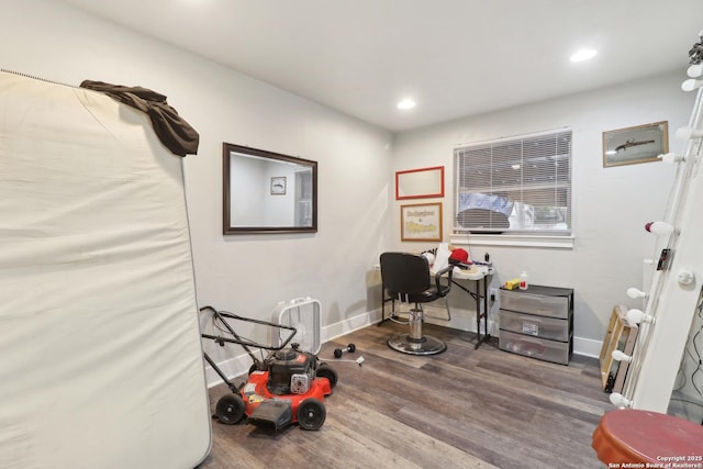 misc room featuring wood-type flooring