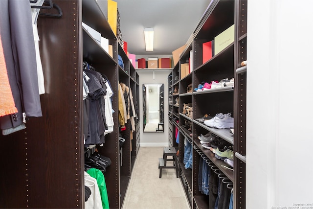 spacious closet with light colored carpet