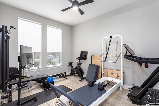 workout room with ceiling fan and light hardwood / wood-style flooring