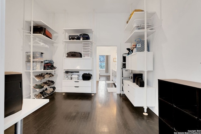 spacious closet featuring dark hardwood / wood-style floors