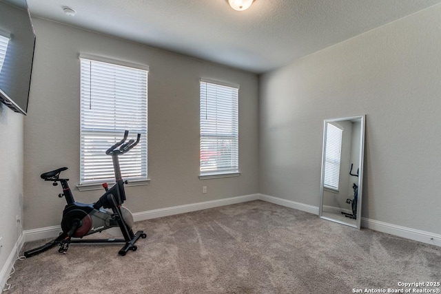 workout area with light carpet