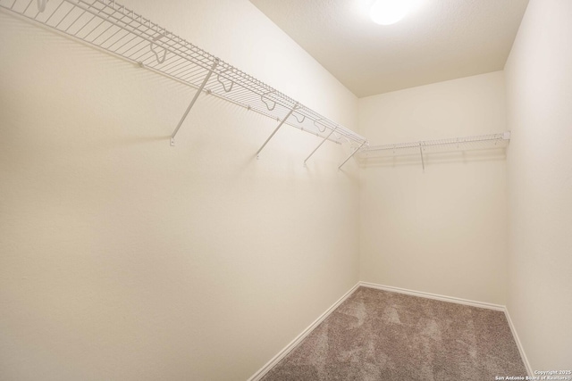 spacious closet with carpet flooring