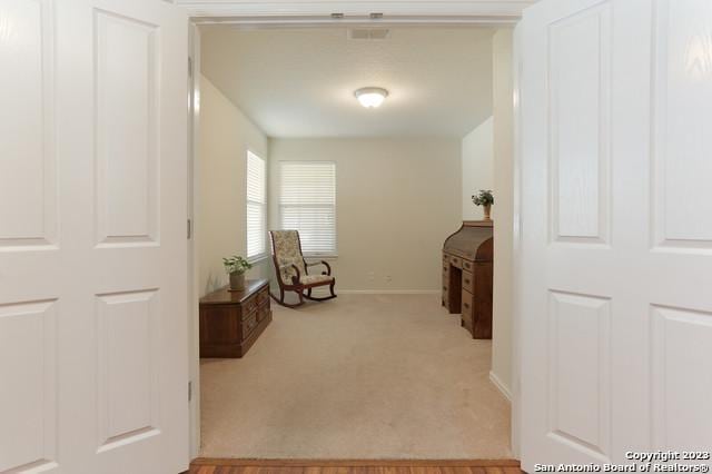 interior space featuring light carpet