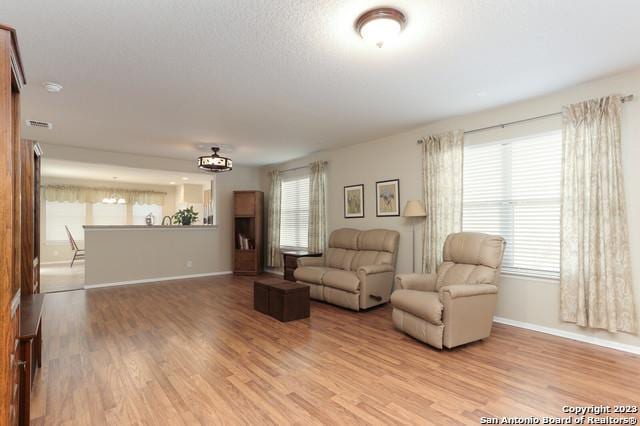 living room featuring light hardwood / wood-style floors