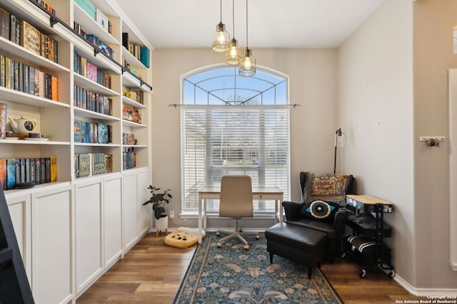 living area with hardwood / wood-style floors and a wealth of natural light