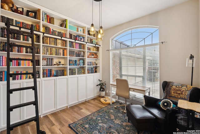 living area with light hardwood / wood-style flooring