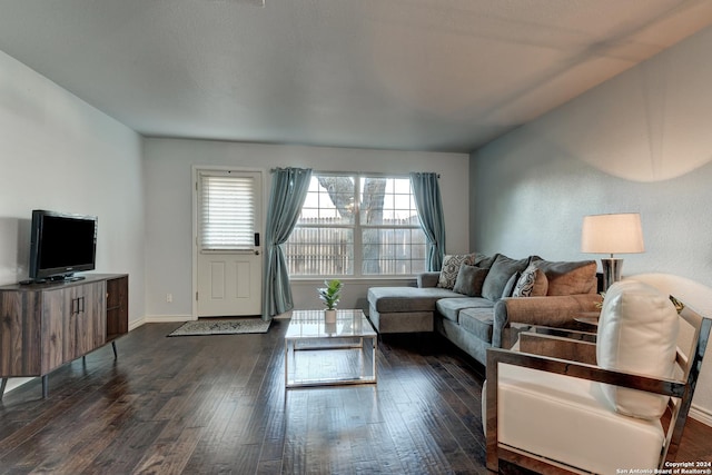 living room with dark wood-type flooring