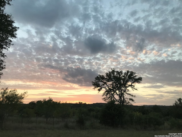 view of nature at dusk