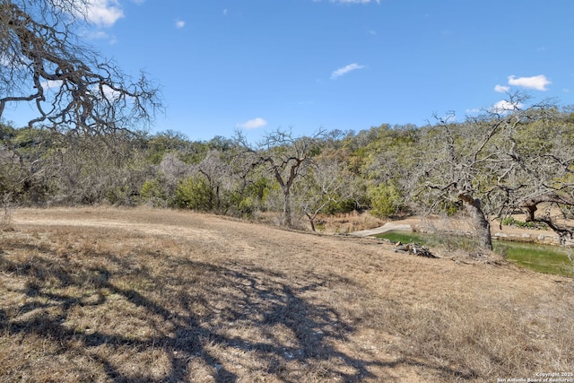 view of local wilderness