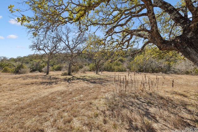 view of local wilderness featuring a rural view