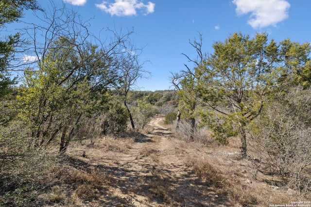 view of local wilderness