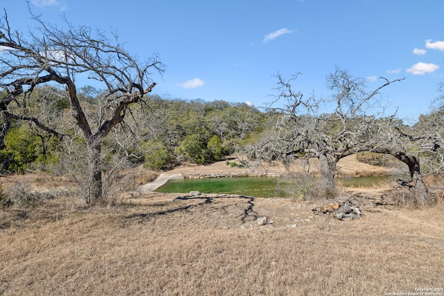 view of landscape