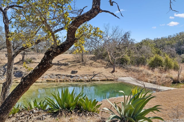 view of water feature