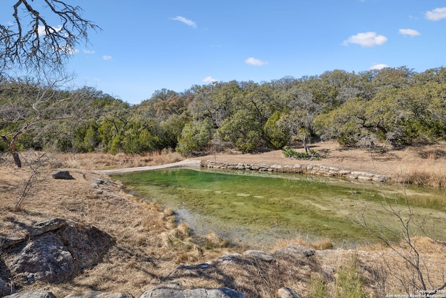 view of landscape featuring a water view