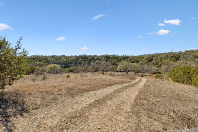 view of road with a rural view