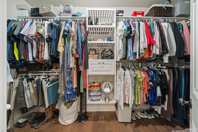 walk in closet with wood-type flooring