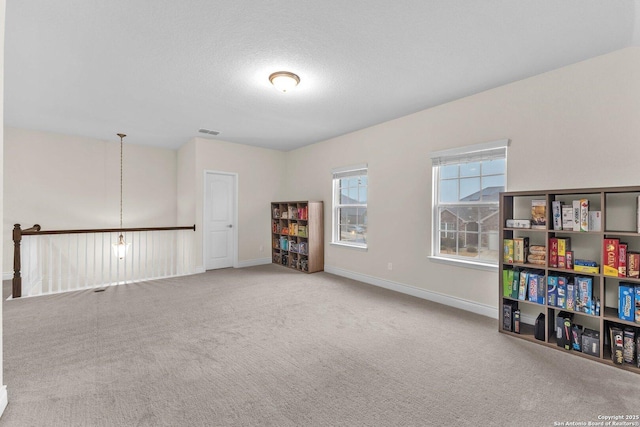 interior space with carpet flooring and a textured ceiling